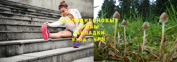 меф Пересвет